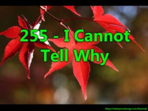 255 - I Cannot Tell Why